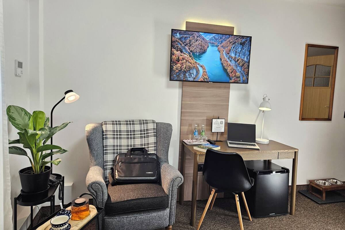 A hotel room with a grey armchair, a desk with a laptop, a TV displaying a scenic river view, a small plant, and a pet feeding station.