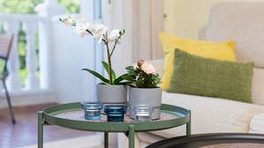 Mesa redonda com duas plantas em vasos e três castiçais de vidro.