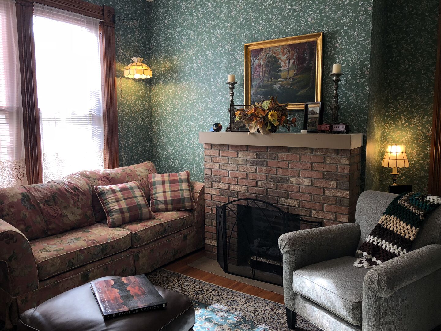 Smart TV, fireplace, books