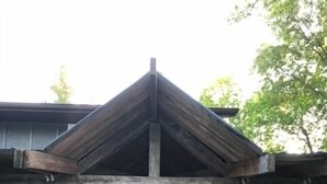 Uklassifisert bilde, 3 av 45, knapp