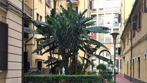 Un estrecho sendero empedrado flanqueado por edificios amarillos con balcones, una palmera grande y una estatua en el centro.