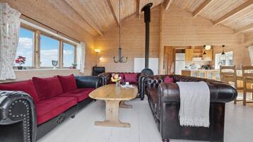 TV, fireplace, DVD player