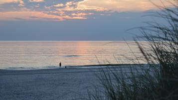 Vlak bij het strand, vissen