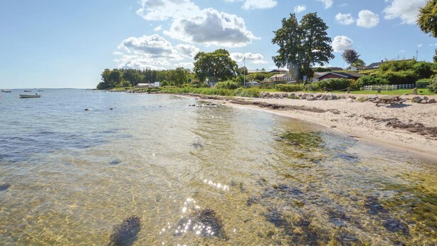 A clear beach with visible seaweed, a sandy shore, and a row of houses in the background. - Beautiful home in Haderslev with sauna (Haderslev)