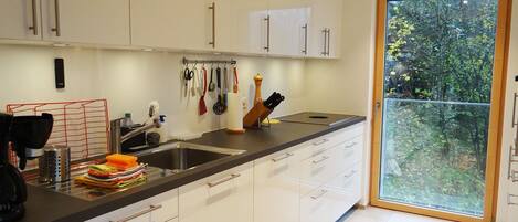 Fridge, dishwasher, cookware/dishes/utensils