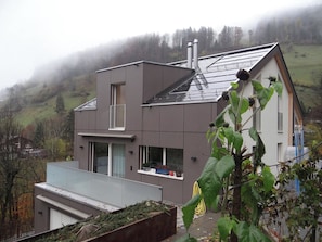 A modern two-story house with a sloped roof, large windows, and a visible chimney.