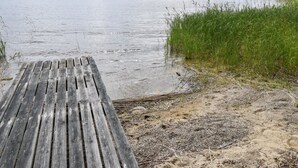 Un muelle de madera que se adentra en un lago con una orilla boscosa al fondo.
