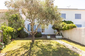 A courtyard with a tree, a white building with blue shutters, and a stone pathway.