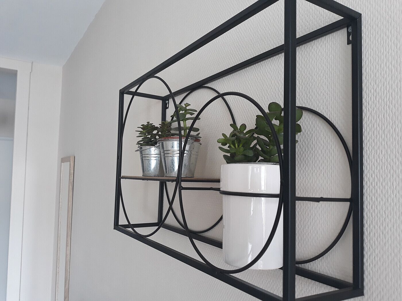 A wall-mounted metal shelf with three potted plants.