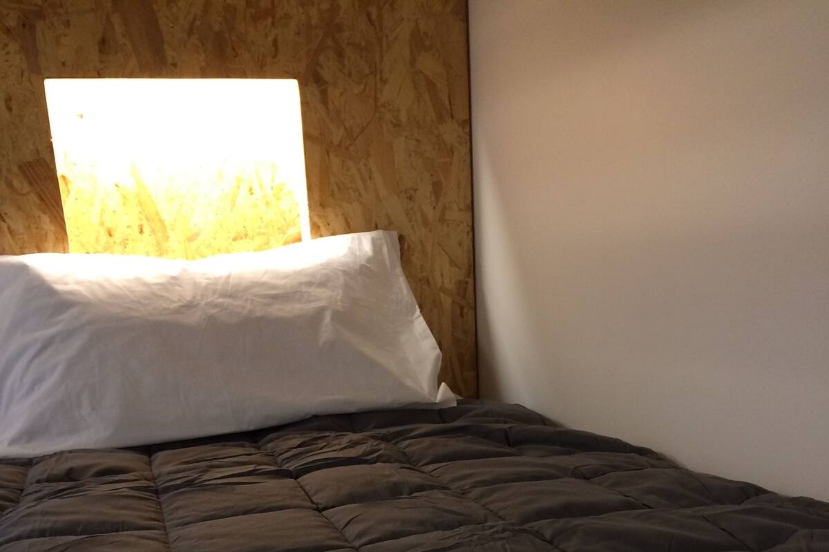 Family Quadruple Room, Shared Bathroom