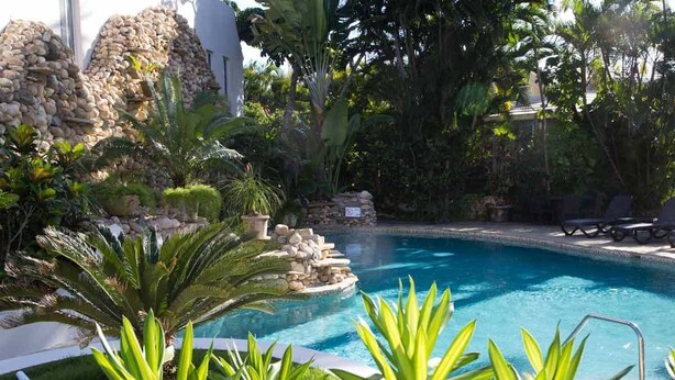 A swimming pool surrounded by tropical plants and stone structures. - Cabarete Beach Front Houses A8.  TOP LOCATION IN CABARETE (Cabarete)