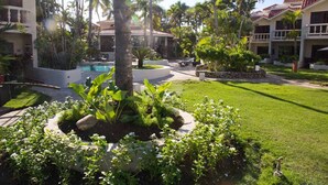 A resort with a swimming pool, palm trees, and a well-maintained lawn. - Cabarete Beach Front Houses A8.  TOP LOCATION IN CABARETE (Cabarete)