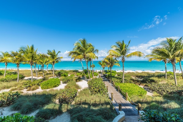 A pathway leading to a beach with palm trees and a clear blue sky.