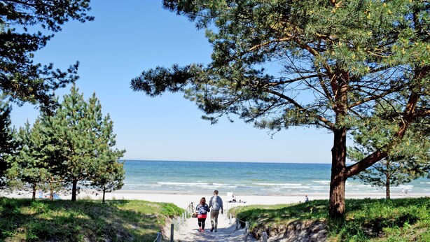 Een pad dat naar een strand leidt, met een helder uitzicht op de oceaan, omringd door bomen en grasvelden.