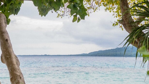 Ein Strand mit klarem Wasser, sandigem Ufer und dichter Vegetation.