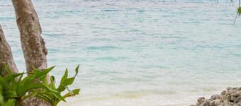 Whispering Palms Beach House - Absolute Beachfront