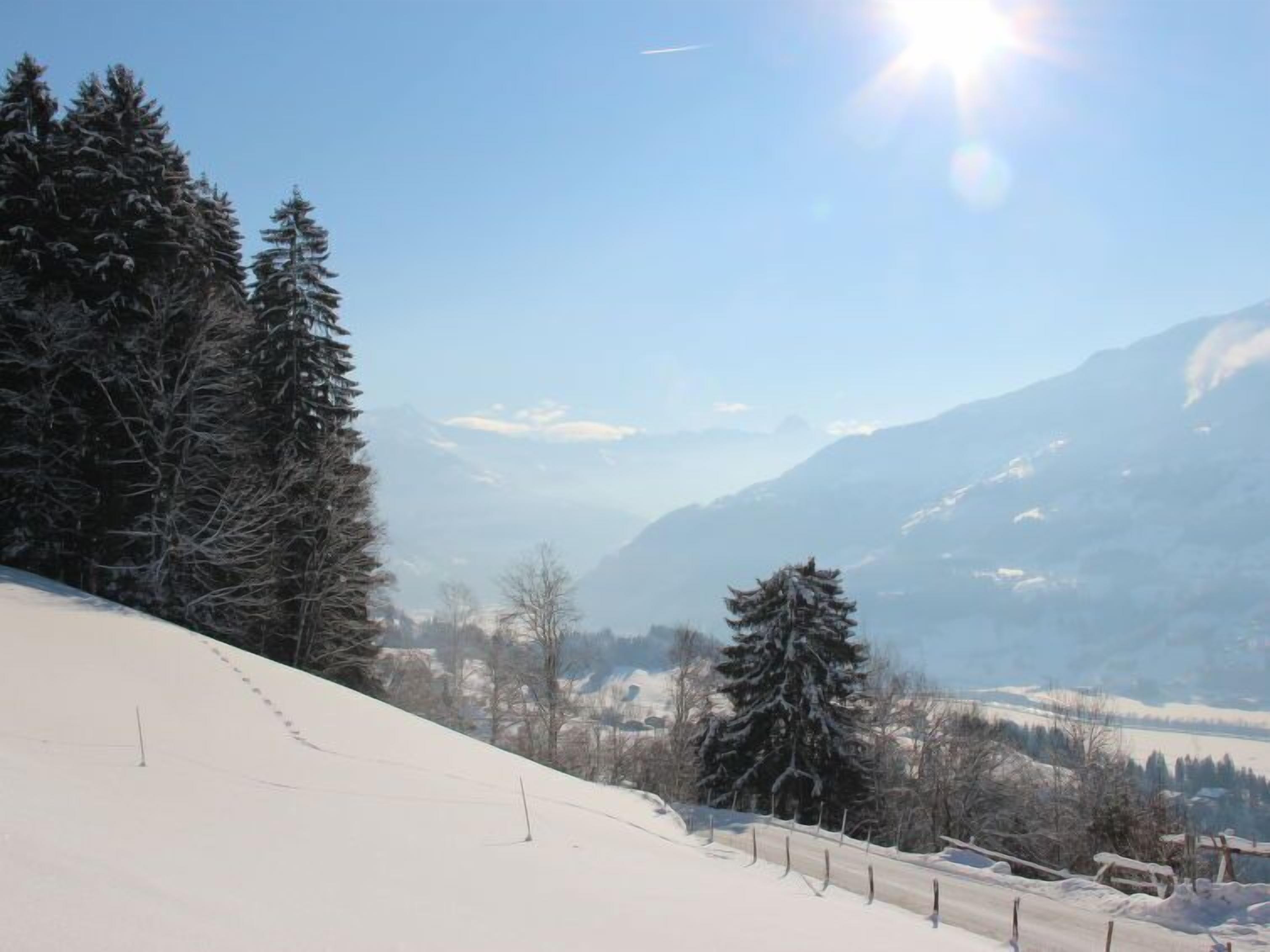 Un paysage enneigé, avec un ciel dégagé, une montagne en arrière-plan et quelques arbres.