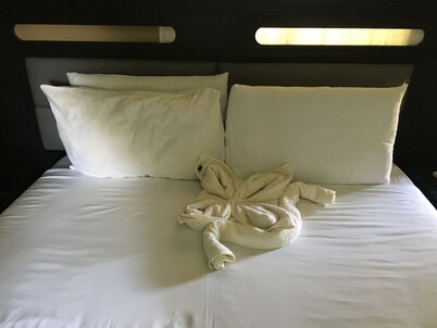 Hawk Guest House