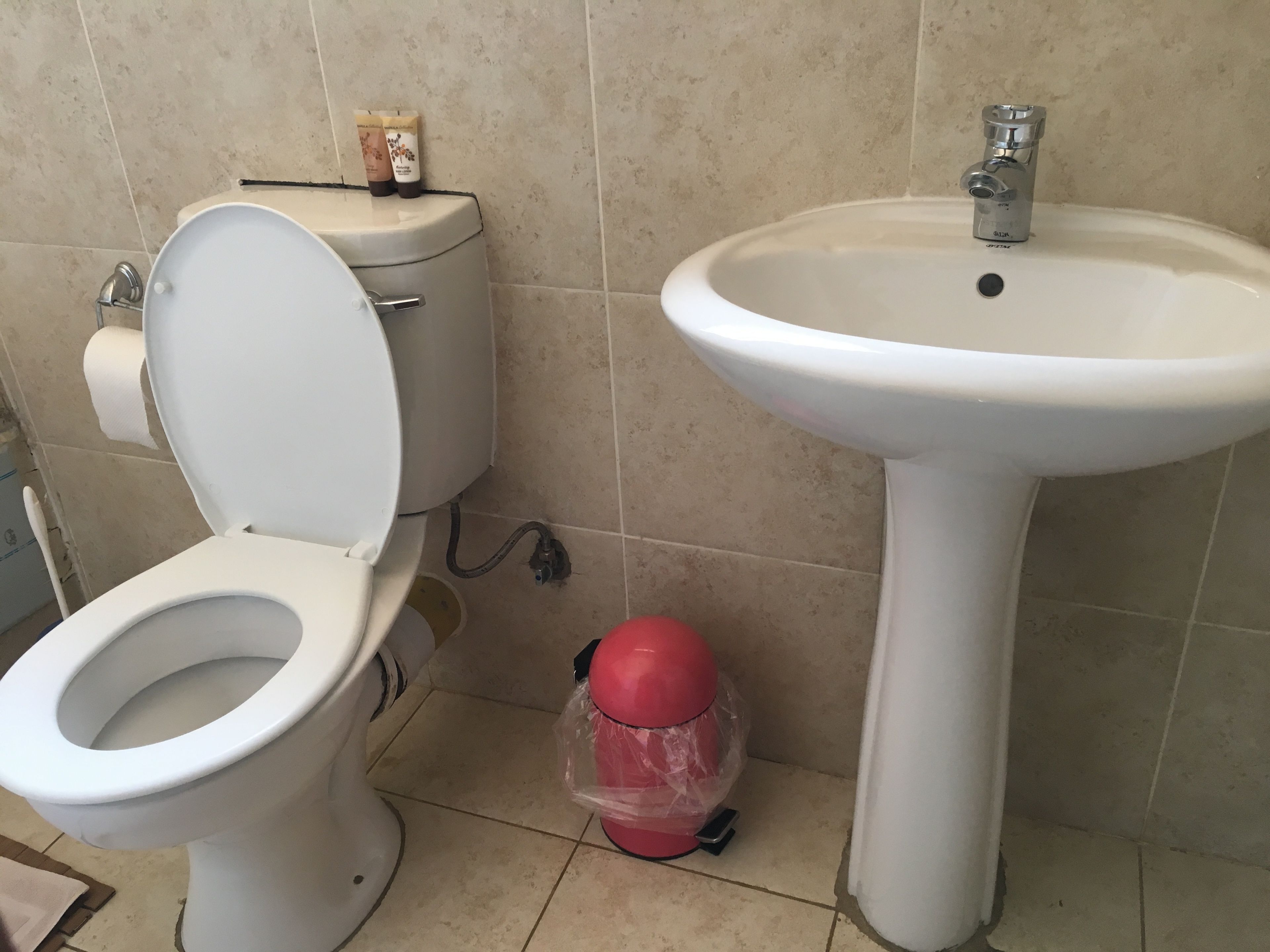 A bathroom with a toilet and a sink.