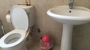 A bathroom with a toilet and a sink.