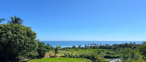 A lush green landscape with a view of the ocean.