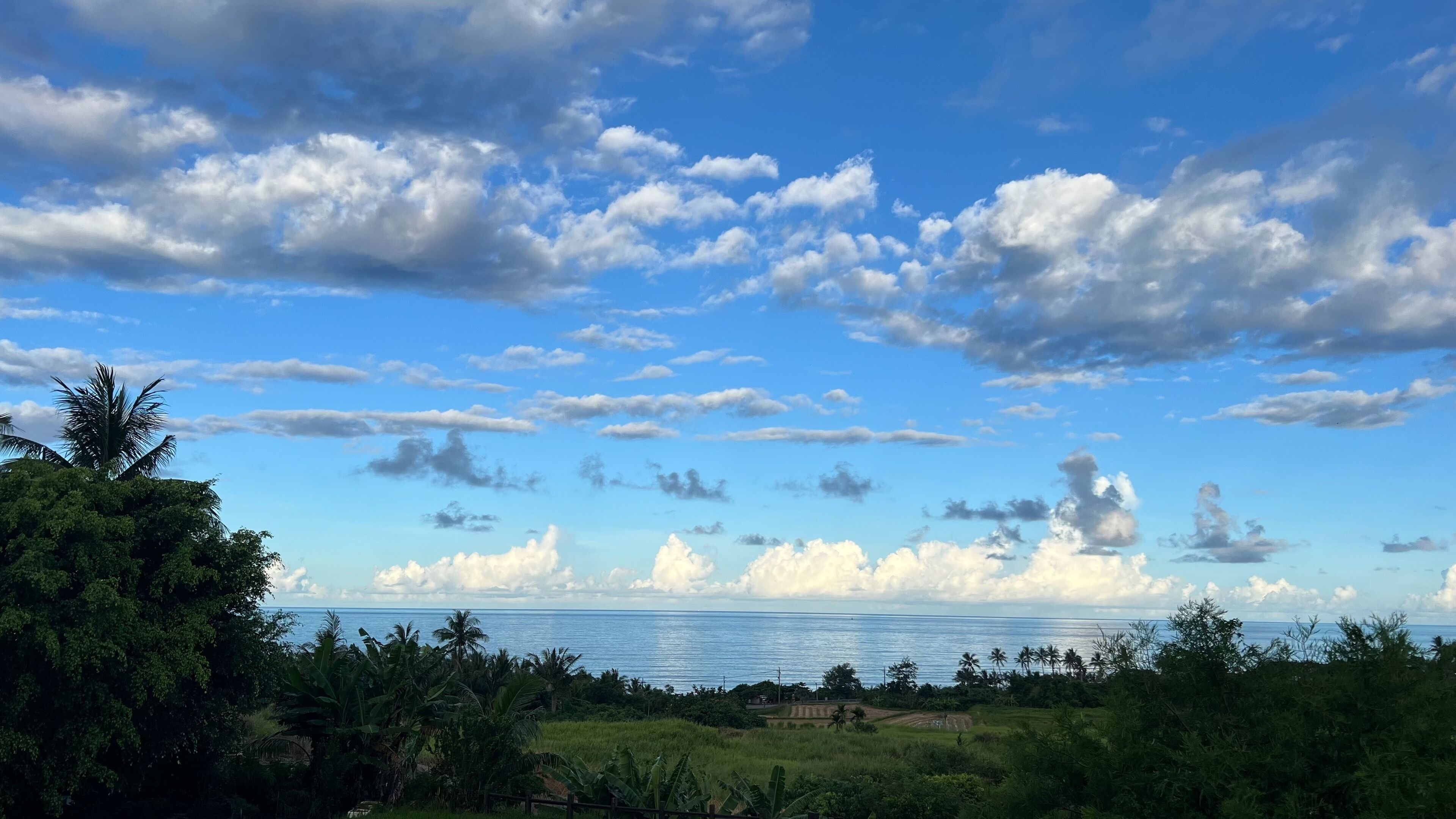 A coastal landscape with a clear sky, palm trees, and a view of the ocean.