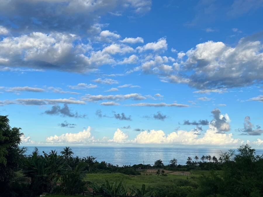 A coastal landscape with a clear sky, palm trees, and a view of the ocean.