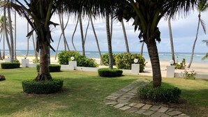Un giardino curato con palme, un viale in pietra e vista sulla spiaggia.