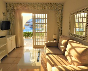 Televisión y libros 