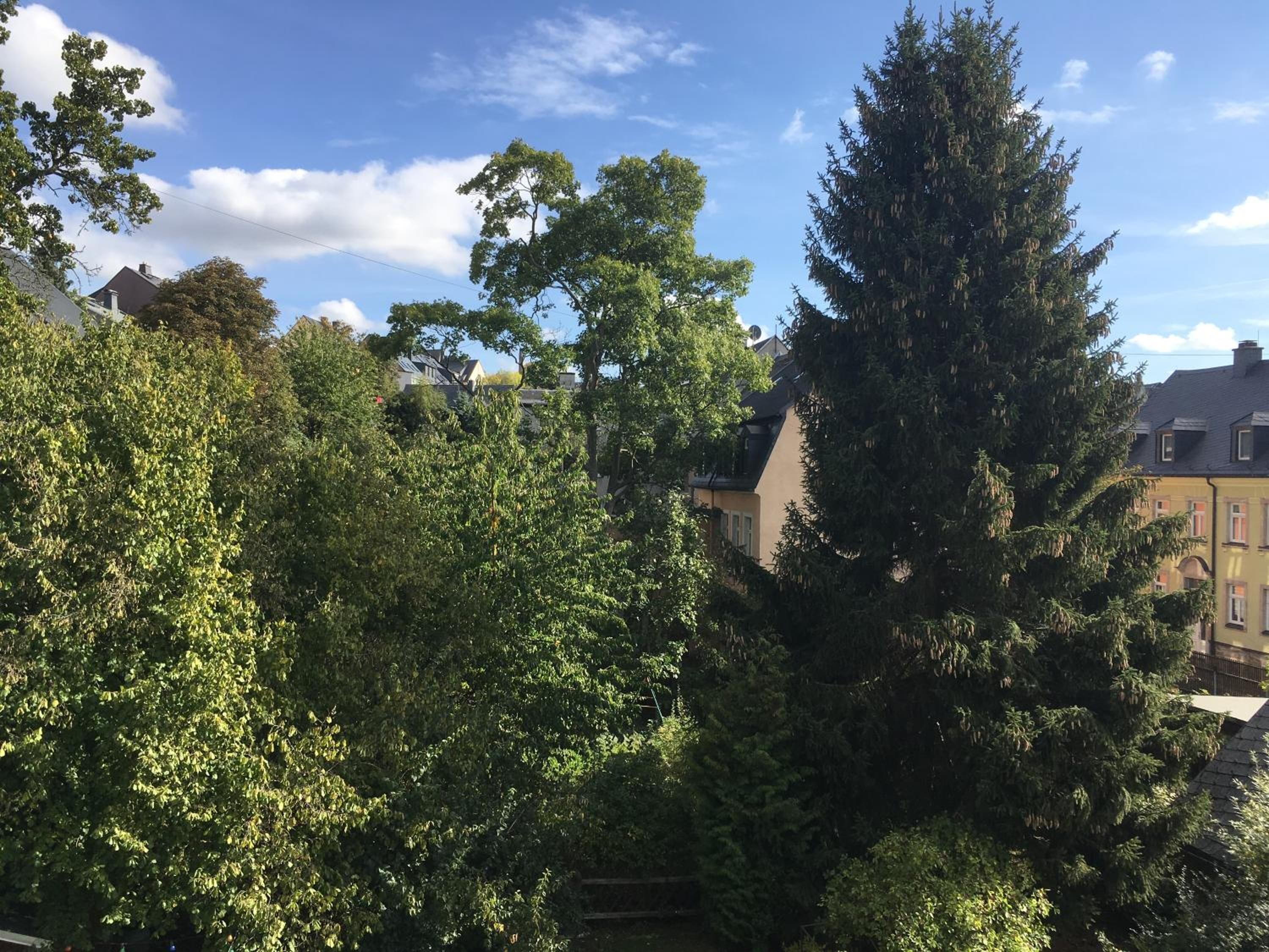 A residential area with dense greenery and houses.