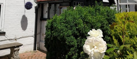 Aussenbereich