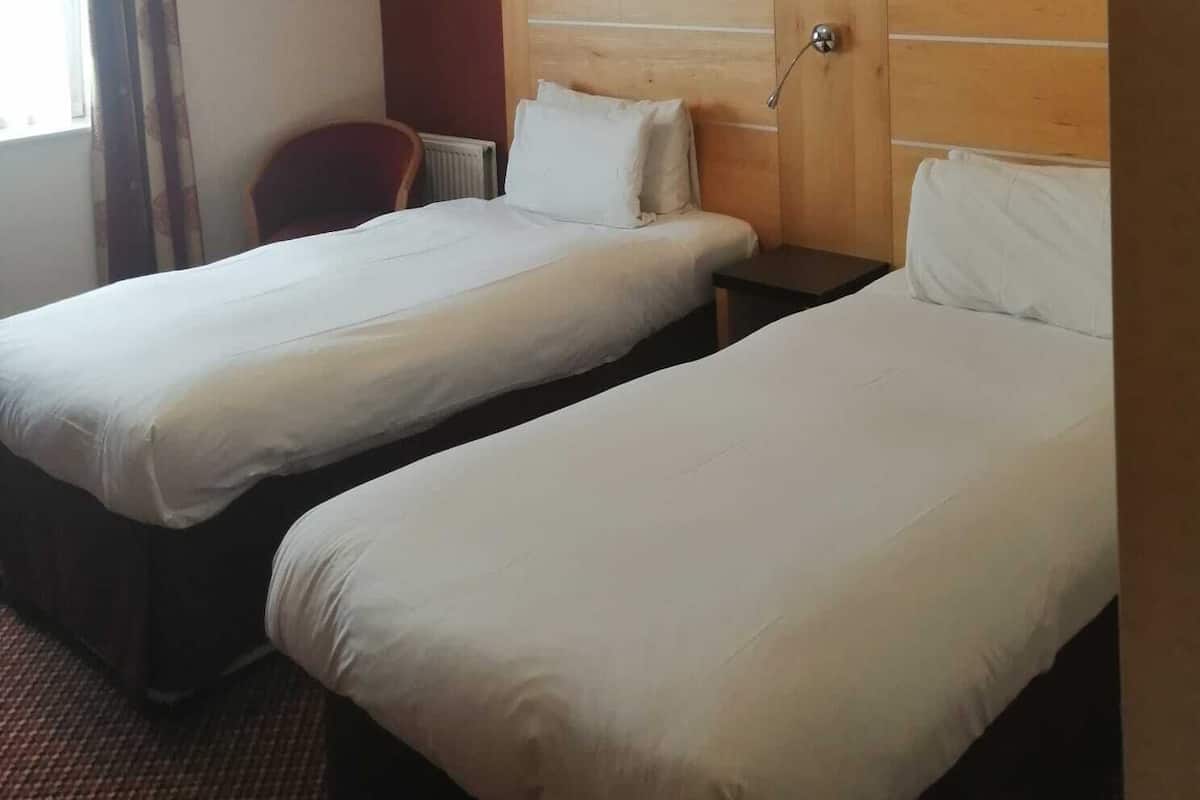 Deluxe Twin Room | Seterika/papan seterika, Wi-fi percuma, cadar katil 