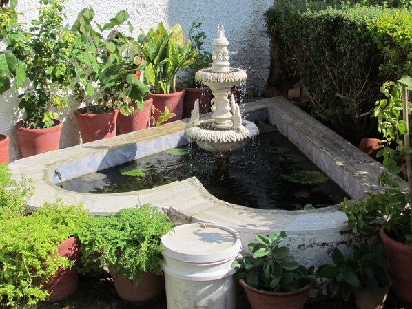 Jardín