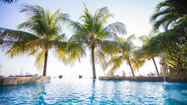A pool surrounded by palm trees and a statue. - Teluk Indah Beach & Pool Villa (Tejakula)