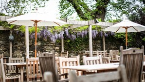 Un espace extérieur aménagé avec des tables et des chaises en bois, protégé par des parasols blancs, et sur lequel pendent des grappes de glycines violettes.
