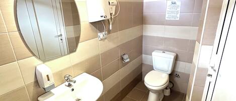 A bathroom with a sink, mirror, and toilet.