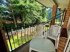 View from room - Agio Hotel (Kolochava)