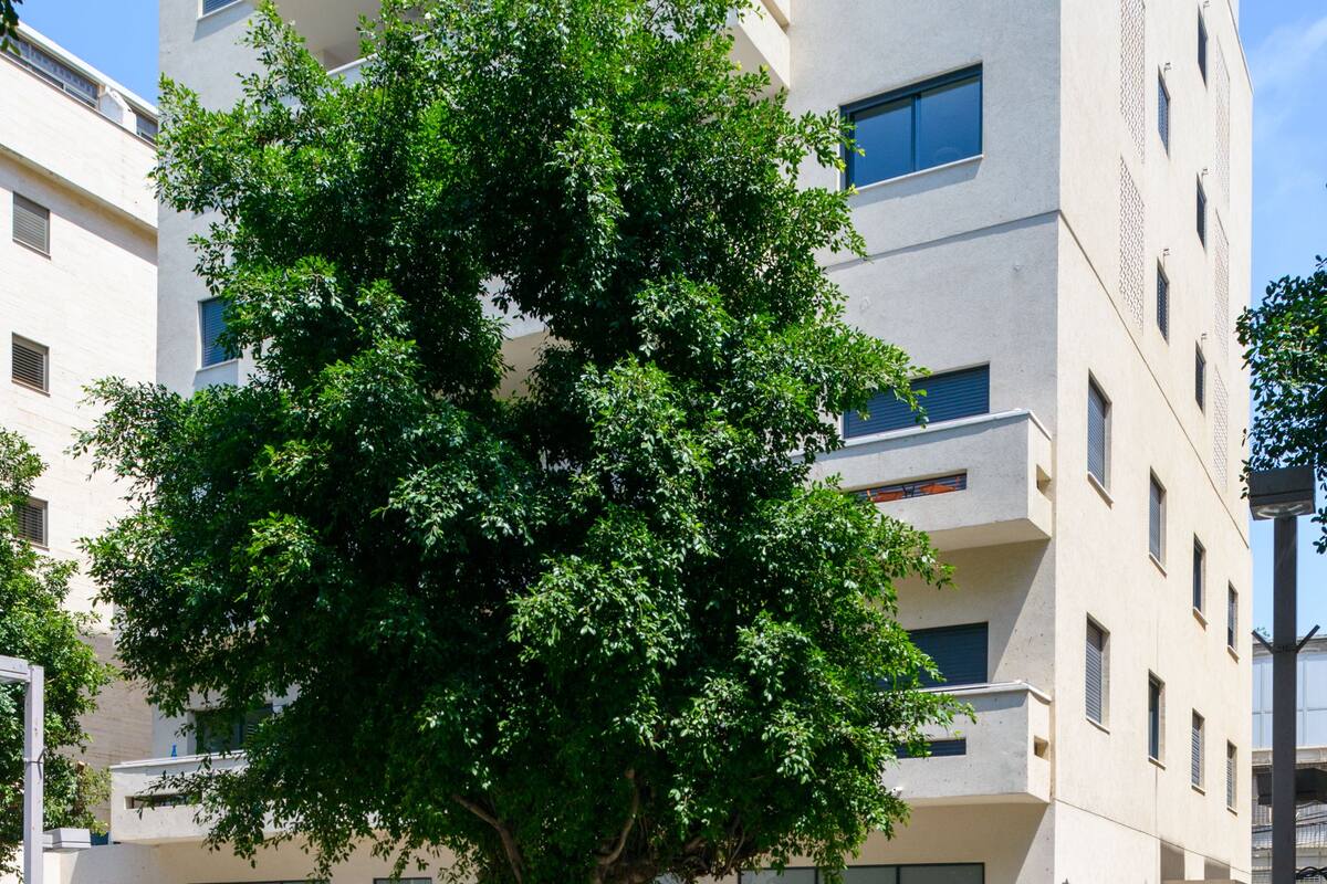A modern building with a tree in front, a storefront, and a few people walking.