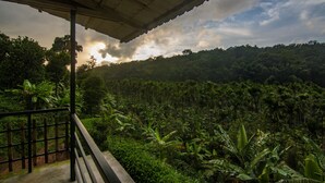 A view from a balcony overlooking a dense forest with a wooden railing and a concrete floor. - Whispering Willows (Ootacamund)