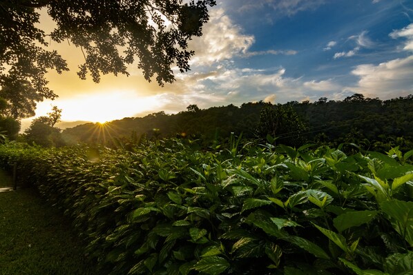 Exterior - Whispering Willows (Ootacamund)