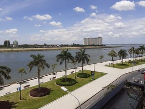 A riverside promenade with palm trees, benches, and a pathway. - New Season Riverside Hotel (Phnom Penh)