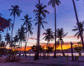 Ein Strand mit Palmen und einem Sonnenuntergang.