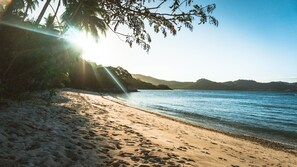 Ein Strand mit Fußspuren, die zum Wasser führen, Palmen und einem klaren Himmel.