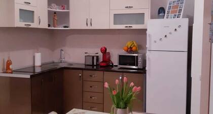 APARTAMENT TWO IRA BEACH