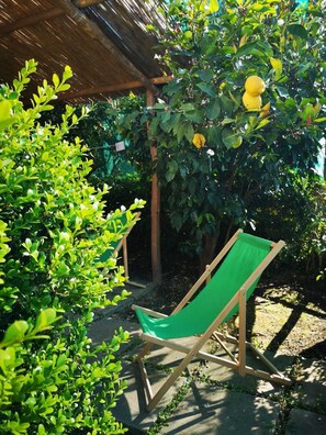 Apartment, Sea View (Ersilia) | Terrace/patio - Casale Villa Marzia (Massa Lubrense)