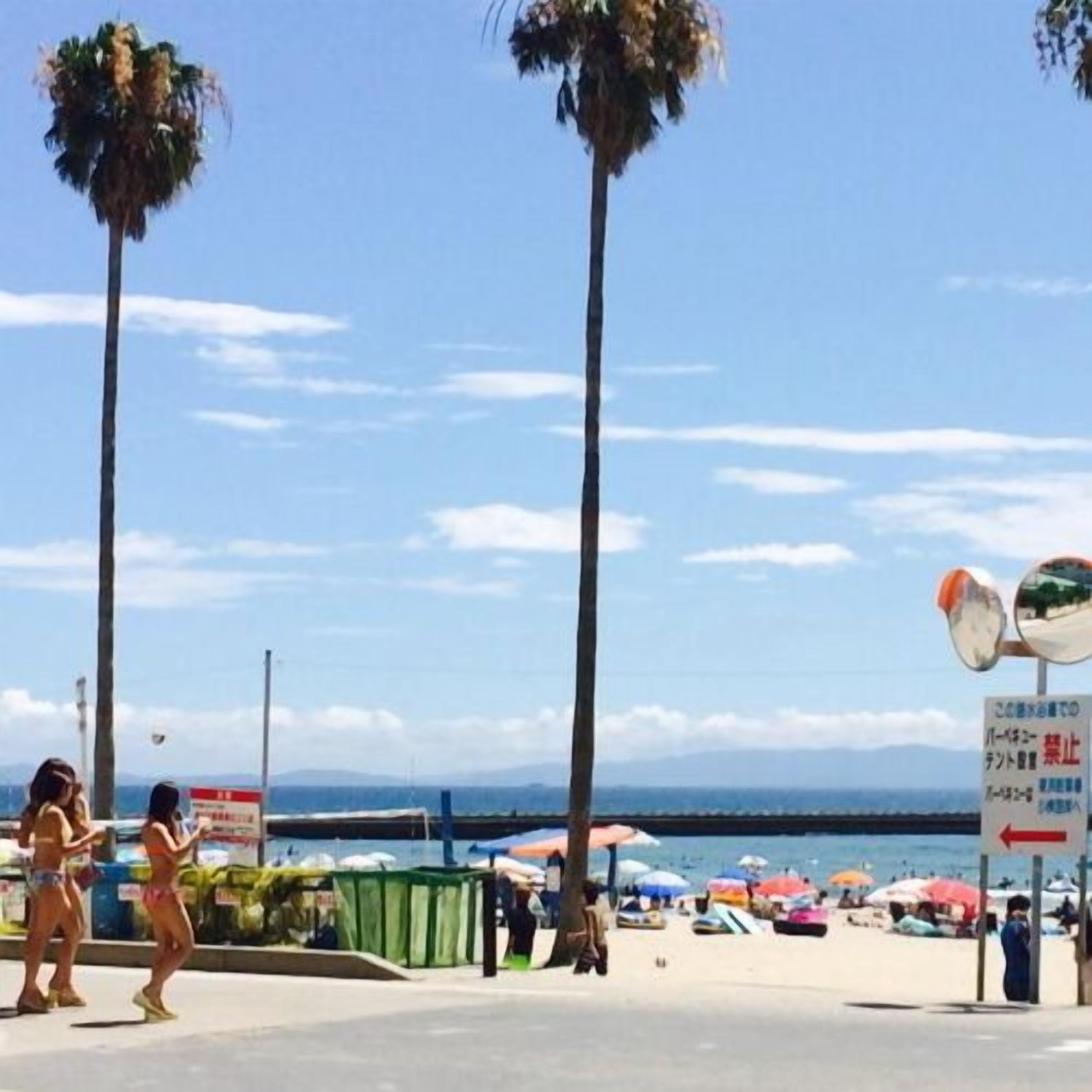 Un endroit situé au bord de la plage, avec des palmiers, un ciel dégagé et un panneau affichant du texte en japonais.
