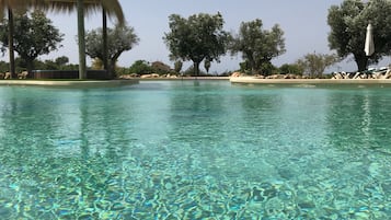 Outdoor pool, open 8:00 AM to 8:00 PM, pool umbrellas, pool loungers