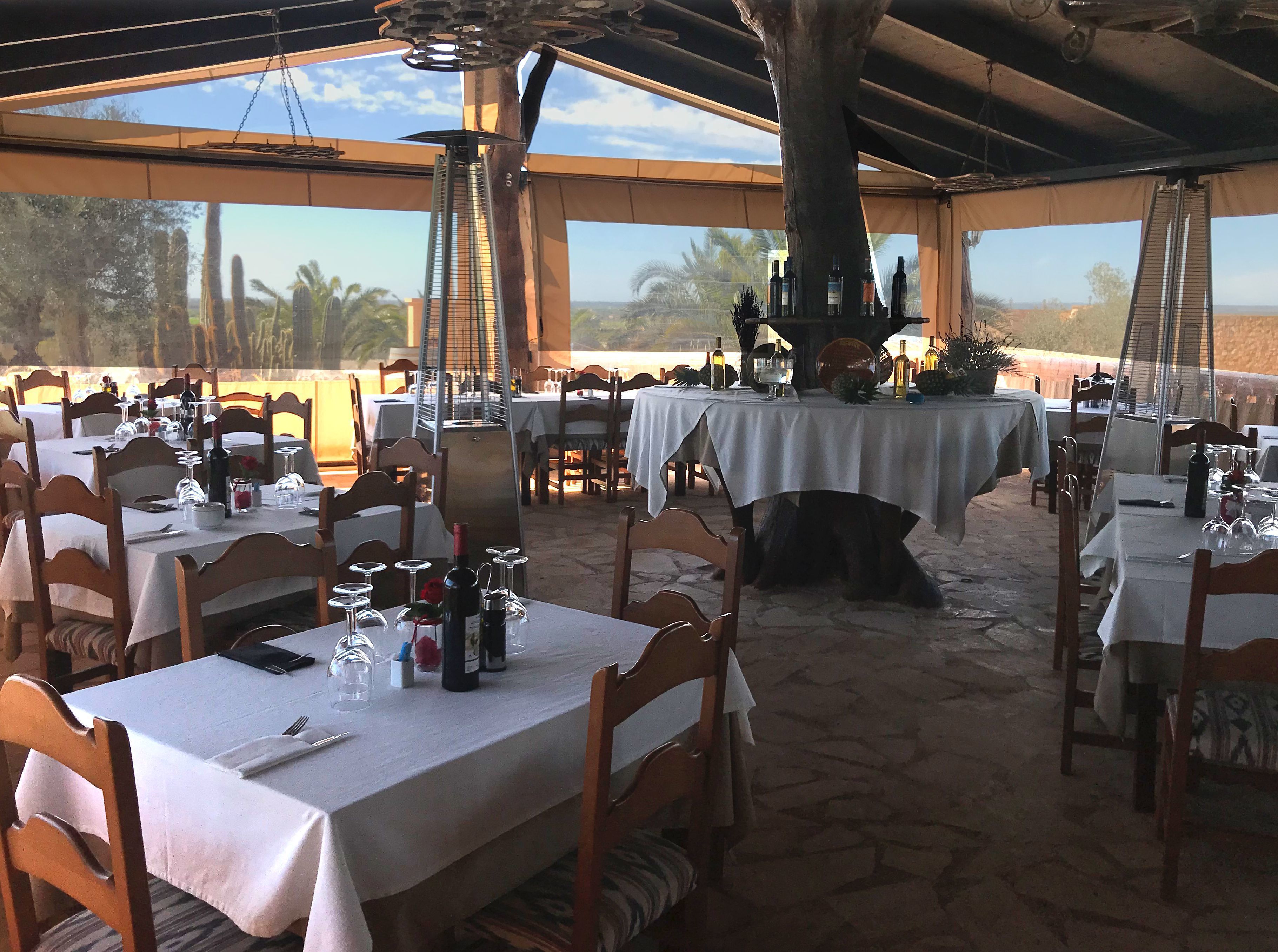 An outdoor dining area with tables set for meals, surrounded by chairs, and a central decorative tree.