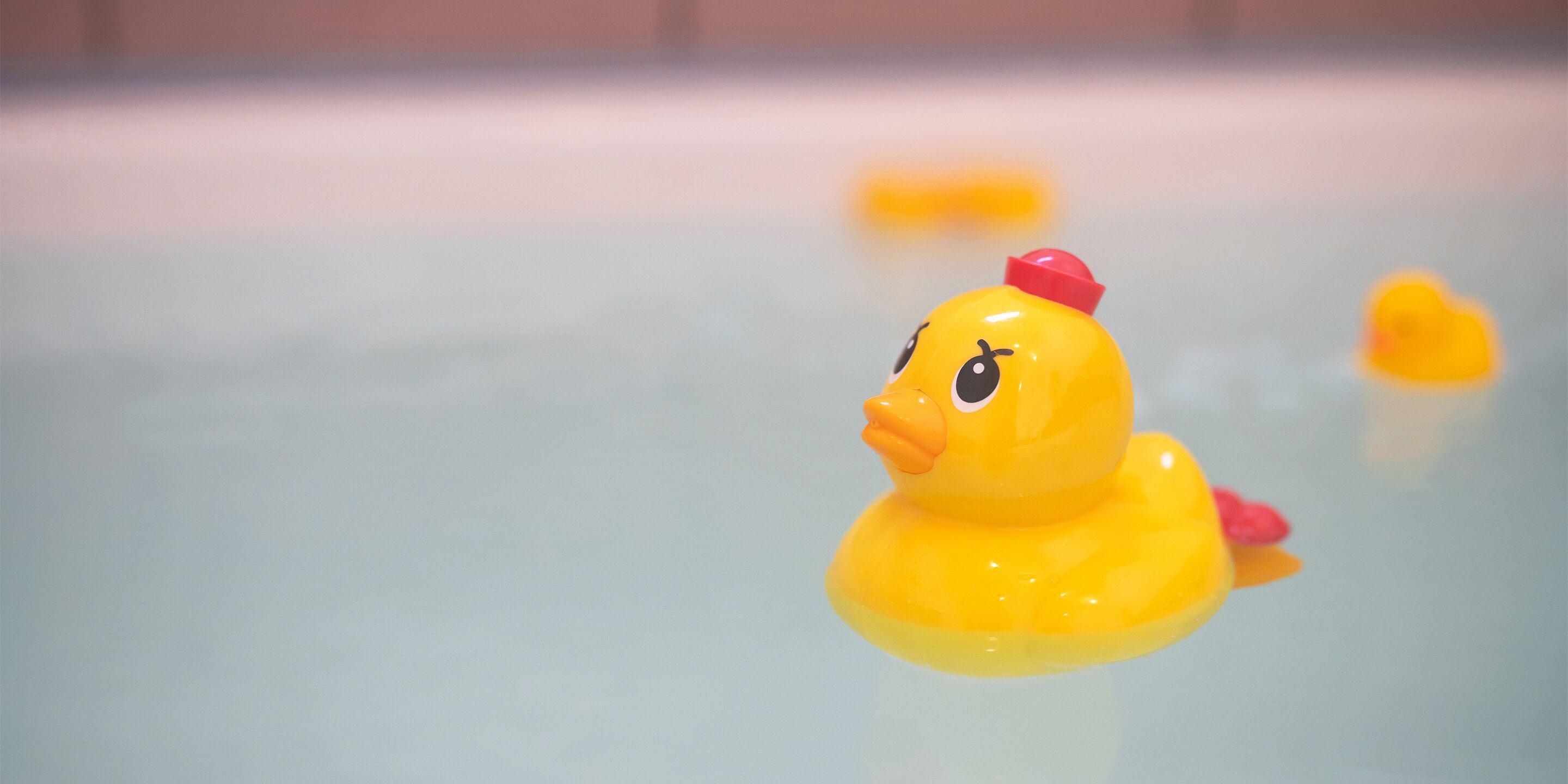 A yellow rubber duck floating in water.