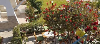 Elina's  cozy house.